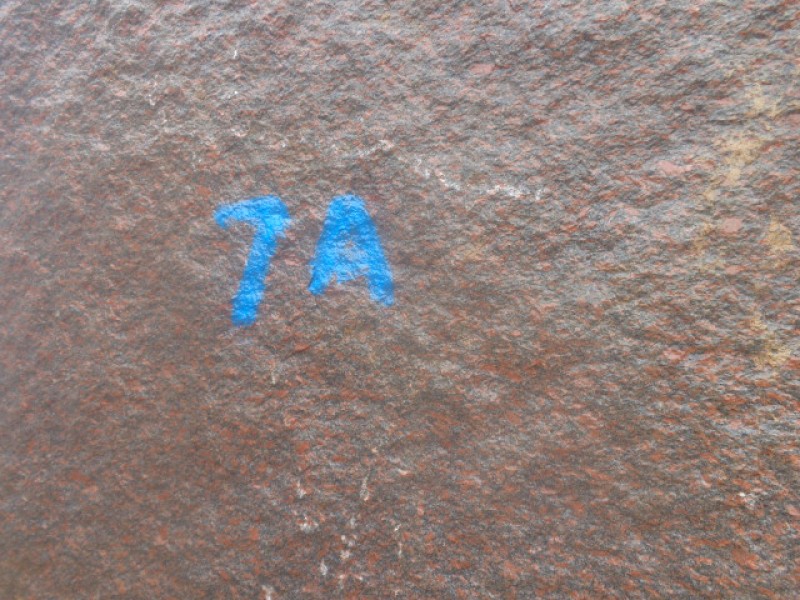 TP