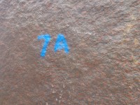 TP